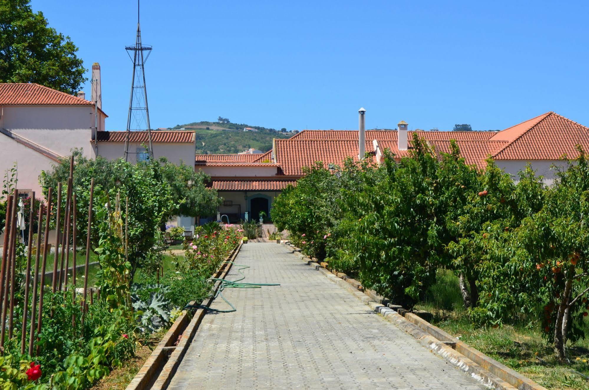 Quinta Do Covanco Alenquer Extérieur photo